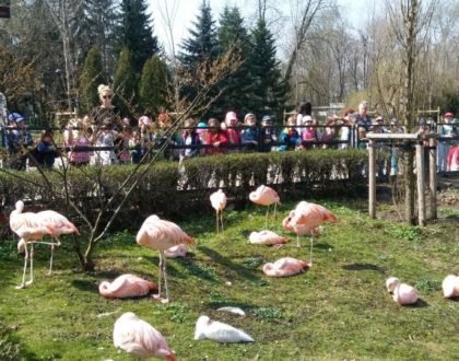 Z wizytą w ZOO