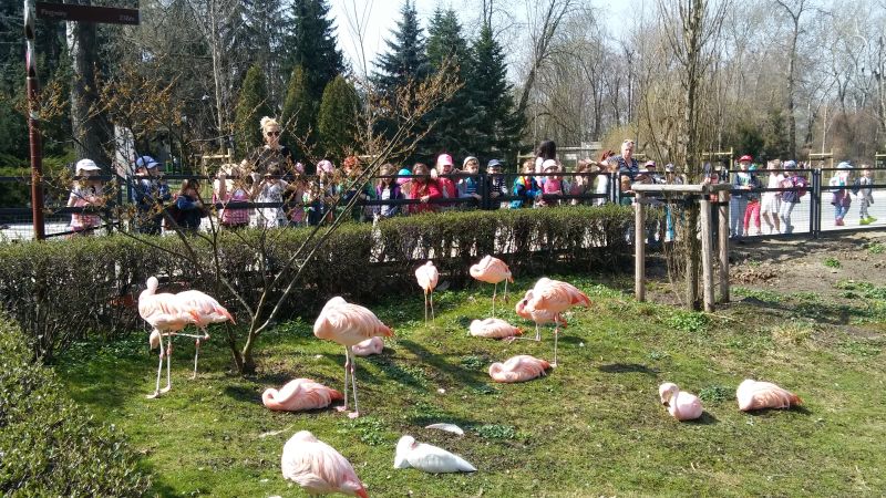 Z wizytą w ZOO