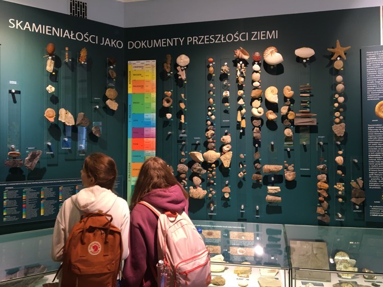 Lekcja geografii w Muzeum Ziemi